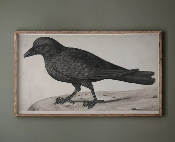 Samsung Frame TV Art Black Crow, Halloween TV Art, Dark Academia, Gothic Decor,  Digital Download... | Etsy (US)