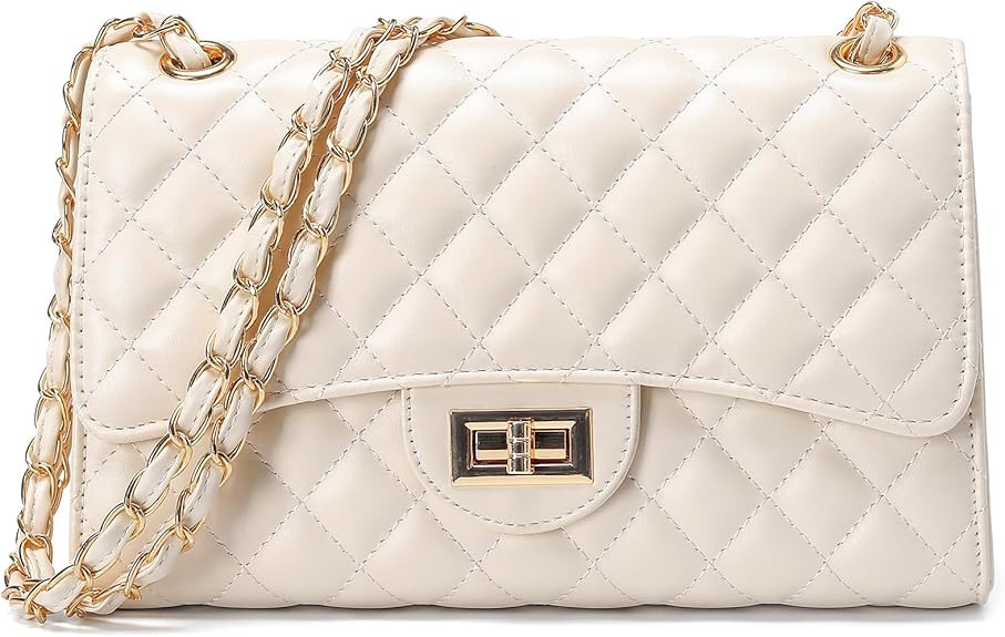 Quilted Leather Crossbody Bags for Women Trendy Ladies Shoulder Purse Satchel HandBag with Chain ... | Amazon (US)