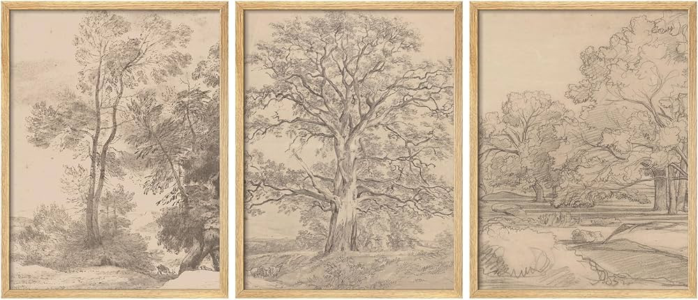 SIGNFORD Framed Canvas Wall Prints, Vintage Style Trees Abstract Home Wall Art Decor Neutral Fram... | Amazon (CA)