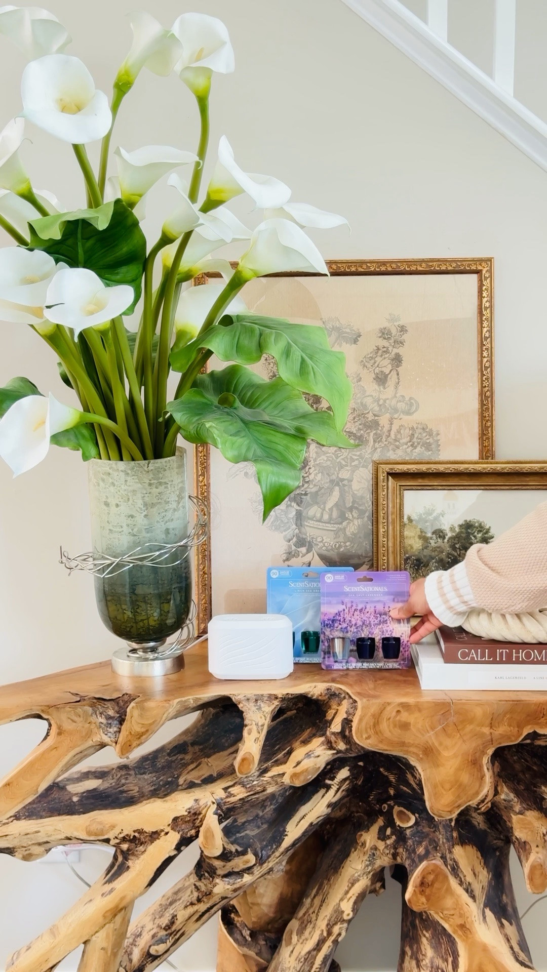 First impressions begin the moment the door opens ✨

I styled my entryway and finished it with the @scentsational Dual Air Freshener in lavender + linen sea breeze embracing  the perfect blend of calm and clean. It feels like stepping into a fresh new season every time you walk in 💙💜

Grab your favorite scents today and mix and match your favorite scents for a customized experience!

Are you inspired?!

##scentsationals
#scentsationalsfragranceoil #scentsationalsplugin