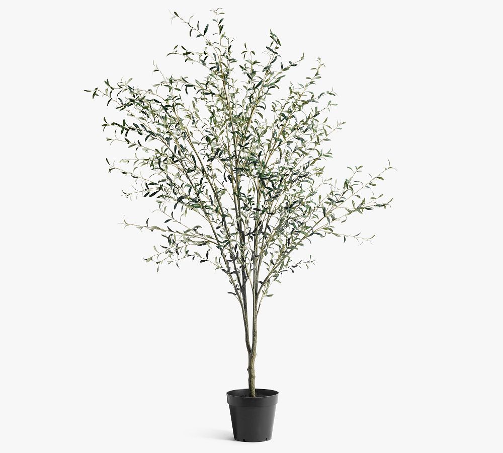 Faux Olive Trees | Pottery Barn (US)