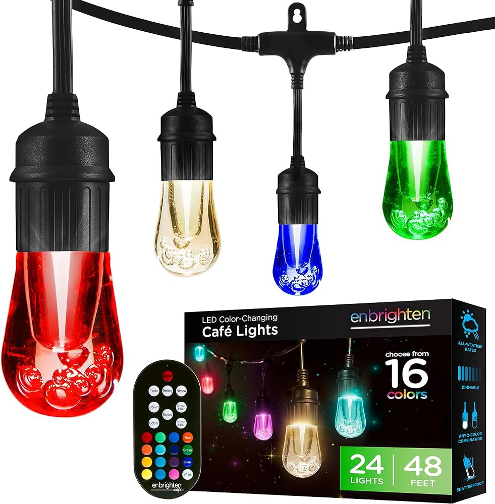 Enbrighten Premium Color Changing String Lights, 48ft Black Cord, 24 Shatterproof Acrylic Bulbs, ... | Amazon (US)