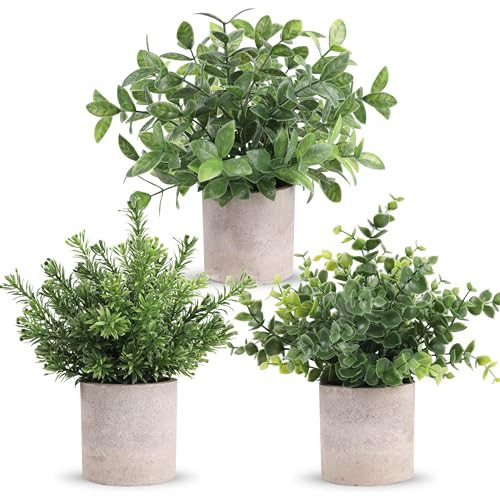 Der Rose 3 Pack Mini Potted Fake Plants Artificial Plastic Eucalyptus Plants Centerpieces for Table Home Office Desk Accessories Farmhouse Room Classroom Decor | Amazon (US)