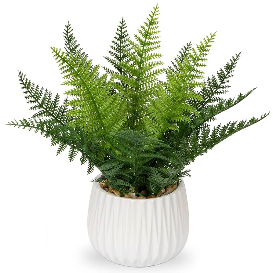 DILATATA Faux Plant Indoor in Ceramic Pot 13" Artificial Potted Fern Fake House Plants for Desk O... | Amazon (US)