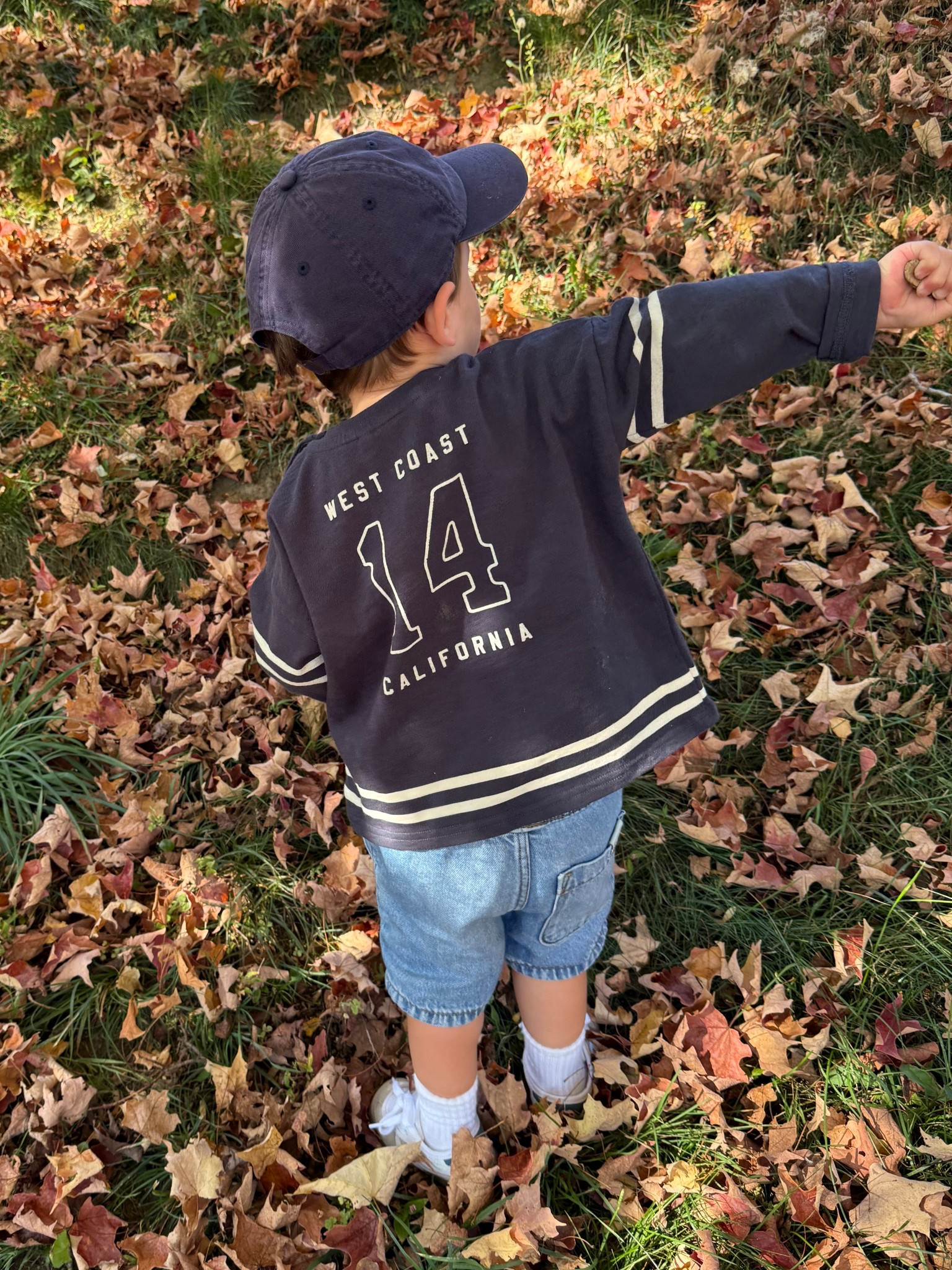 Fall toddler style, little boy outfit idea, fall looks, easy little kid looks 

#LTKSeasonal #LTKFamily #LTKKids