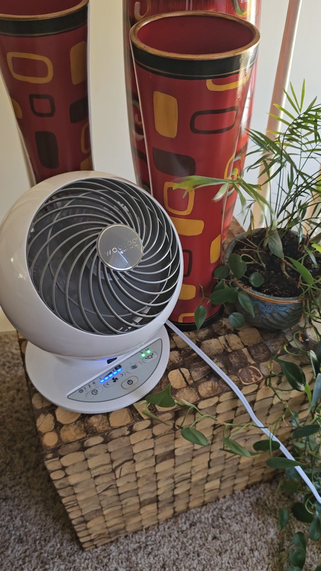 I have three of the WooZoo Fans!  Settings range from natural breeze, which is gentle and circulates the ambient air to speed 10 which is what I call "hair in the wind" setting.  Bedroom, Office and Studio each have one.  I malfunction in heat so these are essential to my comfort.  Settings allow stationary or multi-direction oscillating airflow.  Feed_Your_Addiction cooler temperatures in this cute, small profile but mighty speed fan!

#LTKSeasonal #LTKhome #LTKover40