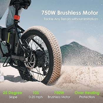 Oraimo 750W Electric Bike for Adults(Peak 1000W), SGS-Certified 48V 12Ah Removable Battery Up to ... | Amazon (US)