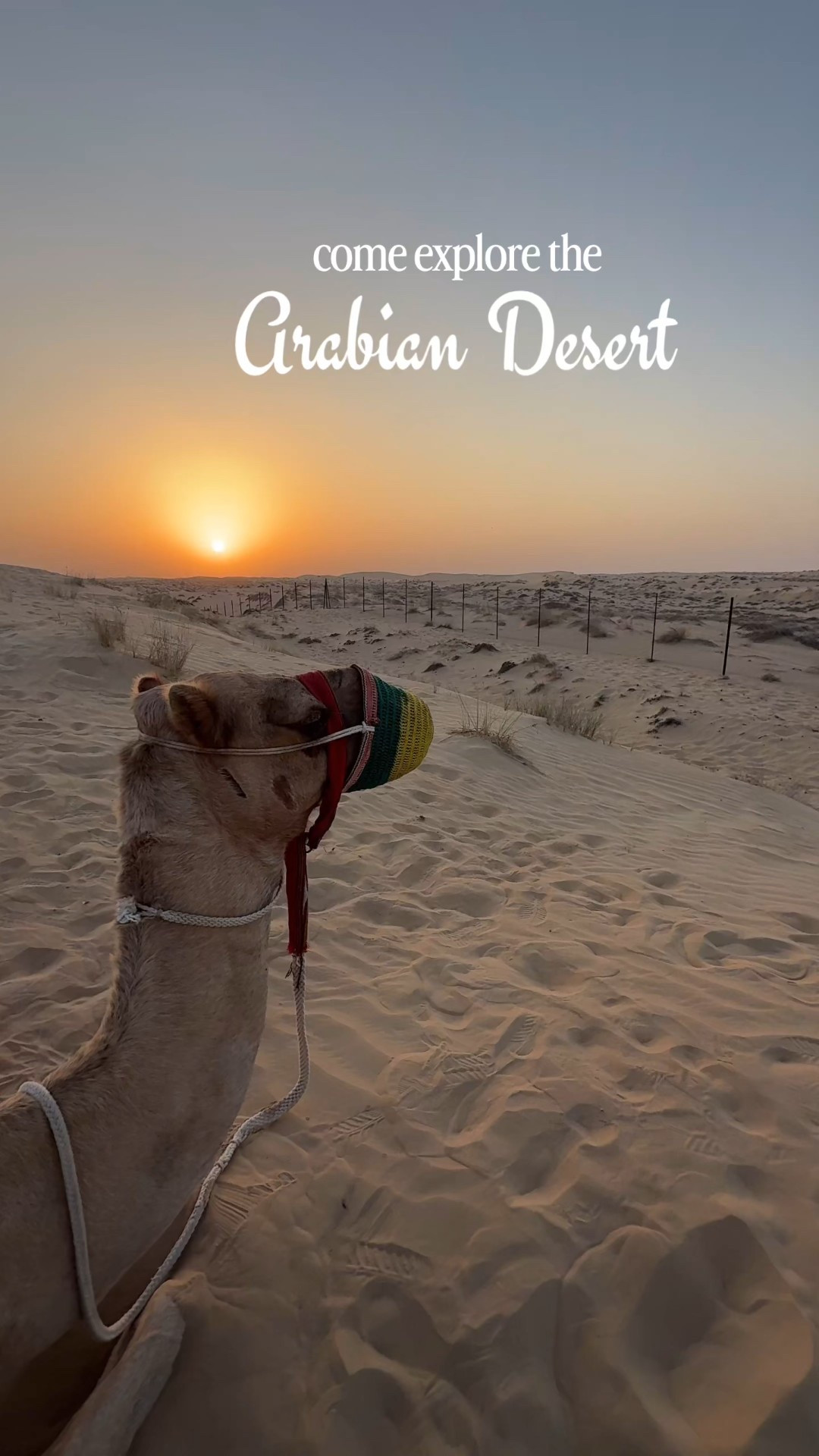 everything I wore in the Arabian Desert 🐫


#LTKFindsUnder100 #LTKTravel #LTKActive