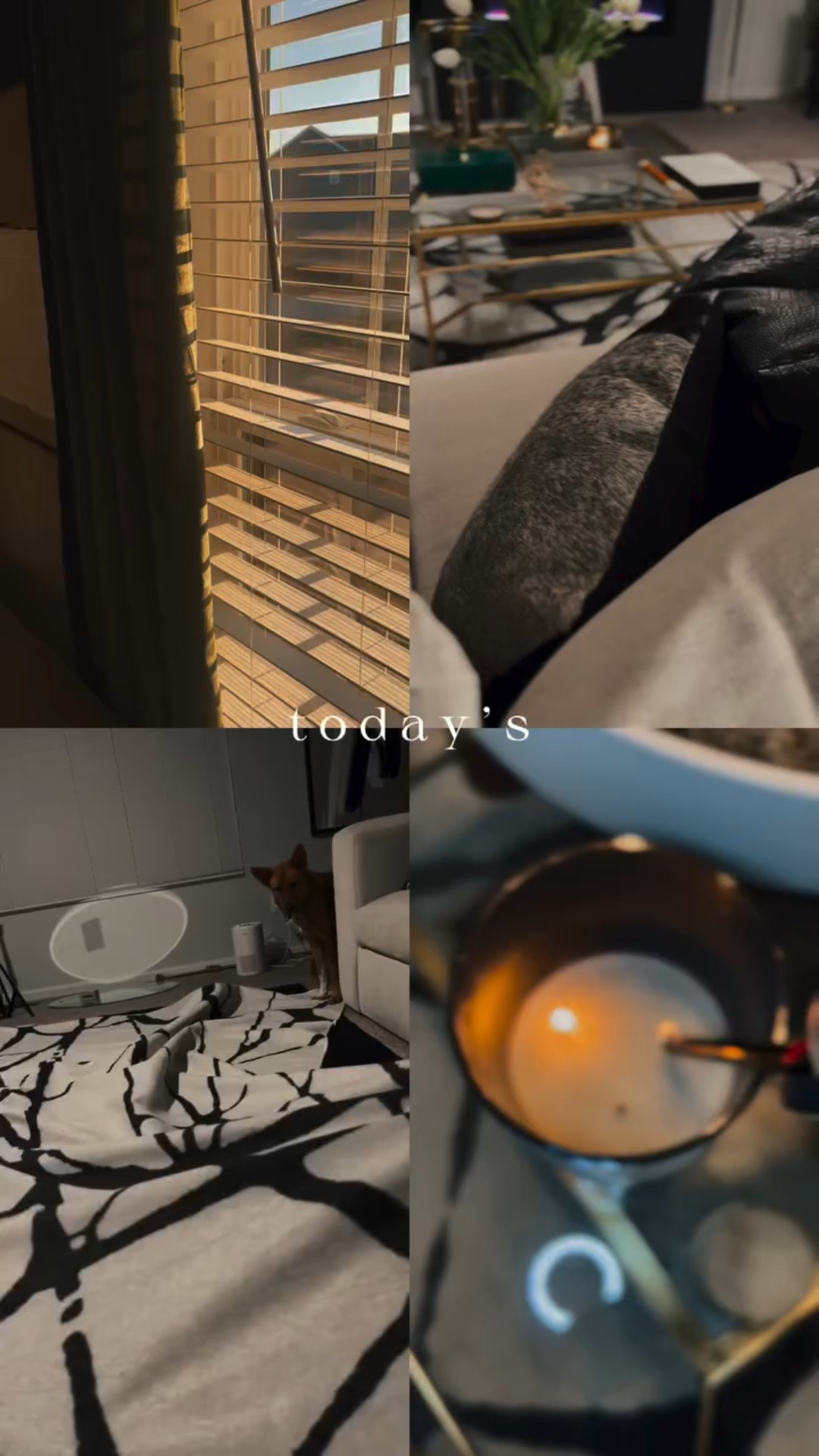 🤍 Snow Day 

🤍 Working 9-5

🤍 Catching up on Design sourcing & E-Designs for projects 

🤍 Record two videos for partnerships ….. TODAY! 

🤍 Might paint my bathroom later tonight…. A big might! 

What’s on your agenda today for this snow day?? 
Drop your agenda below!