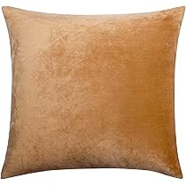 NTBAY Velvet Square Zippered Throw Pillow Cover, Super Soft and Luxury Decorative Euro Cushion Cover | Amazon (US)