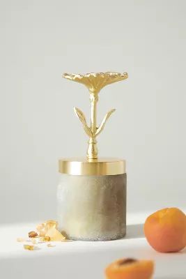 Sofia Fruity Golden Honey & Cedarwood Flower-Lid Jar Candle | Anthropologie (US)