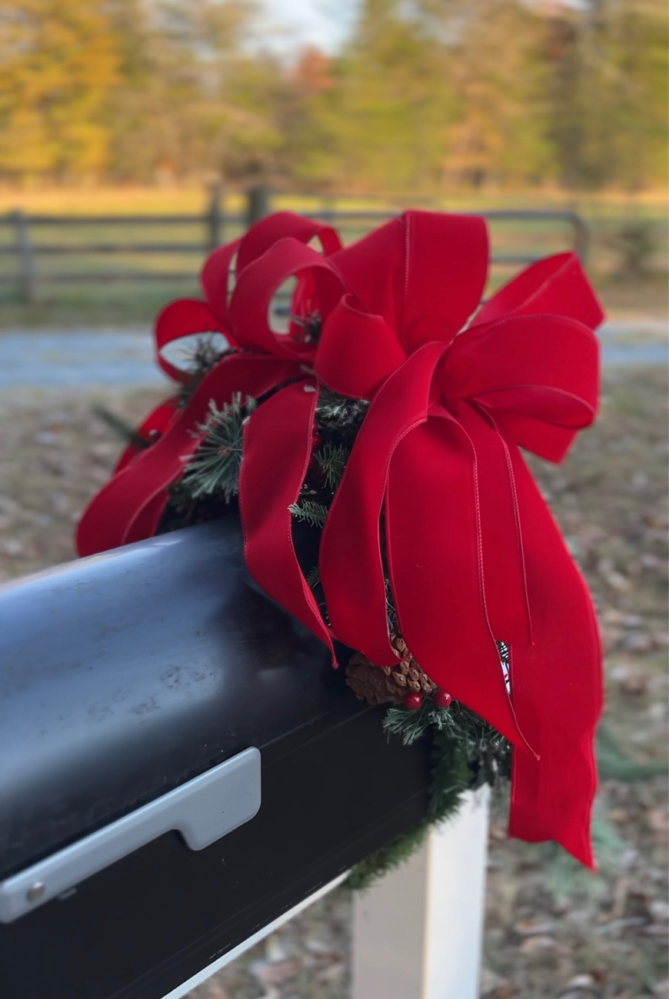 Simple mailbox swag base. I’ll be adding fresh greenery later this month  

#LTKHoliday #LTKSeasonal #LTKHolidaySale