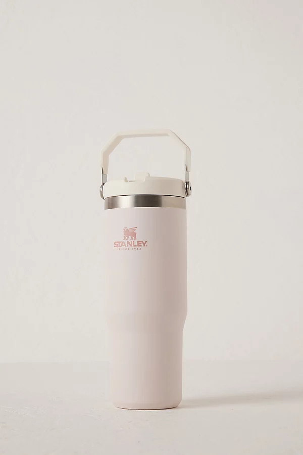 Stanley Double-Insulated Flip Straw Water Bottle | Anthropologie (UK)