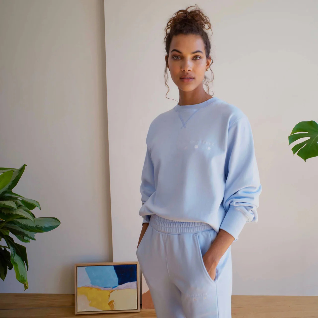 The Sweatshirt (Final Sale) | AYR