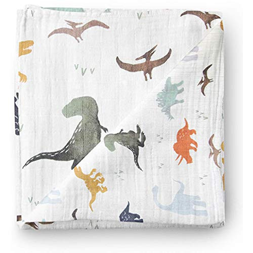 Aenne Baby Muslin Baby Swaddle Blanket Dinosaur Dino Print, Luxurious, Soft and Silky, 70% Bamboo... | Amazon (US)