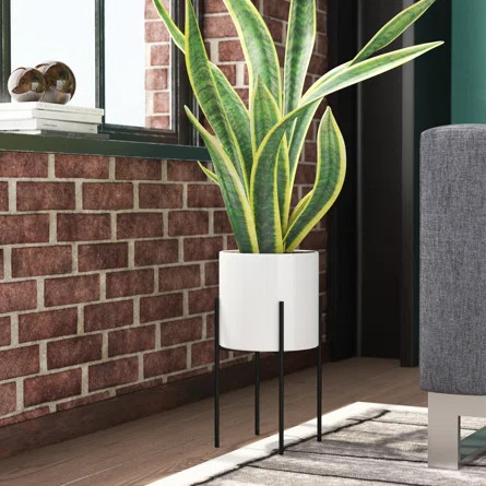 On Sale | Wayfair North America