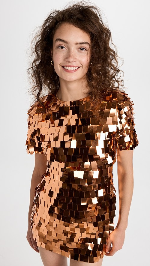 Vivienne Embroidered Sequins Mini Dress | Shopbop