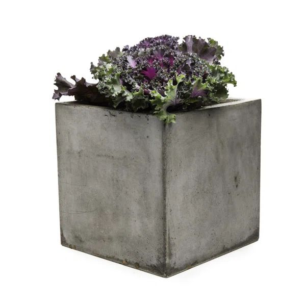 Anson Cub Composite Planter Box | Wayfair North America