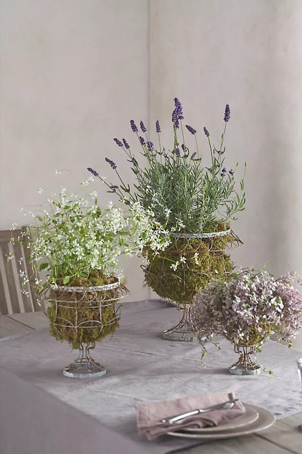 Scalloped Wire Urn Planter | Anthropologie (US)
