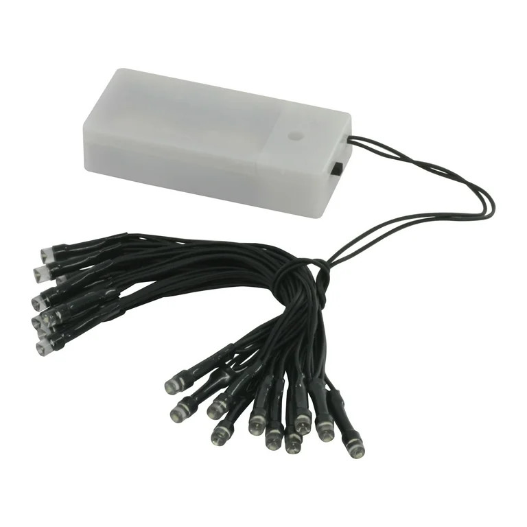 Holiday Time Christmas Indoor 20 Count Battery Operated Led Red String Lights Sets Holiday Lighti... | Walmart (US)