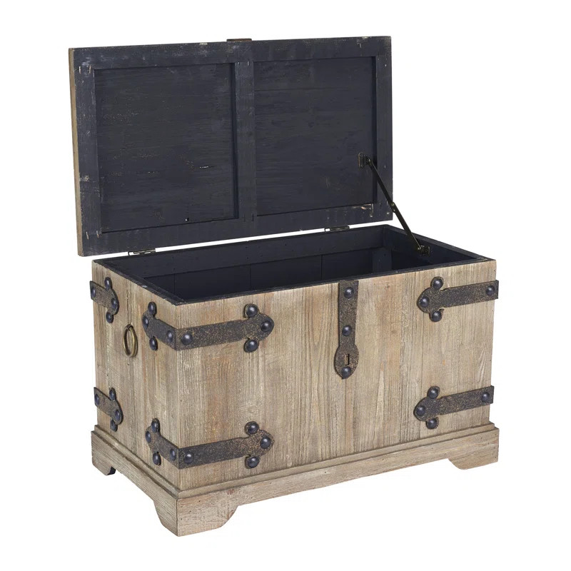 Metson Small Victorian Storage Trunk | Wayfair North America