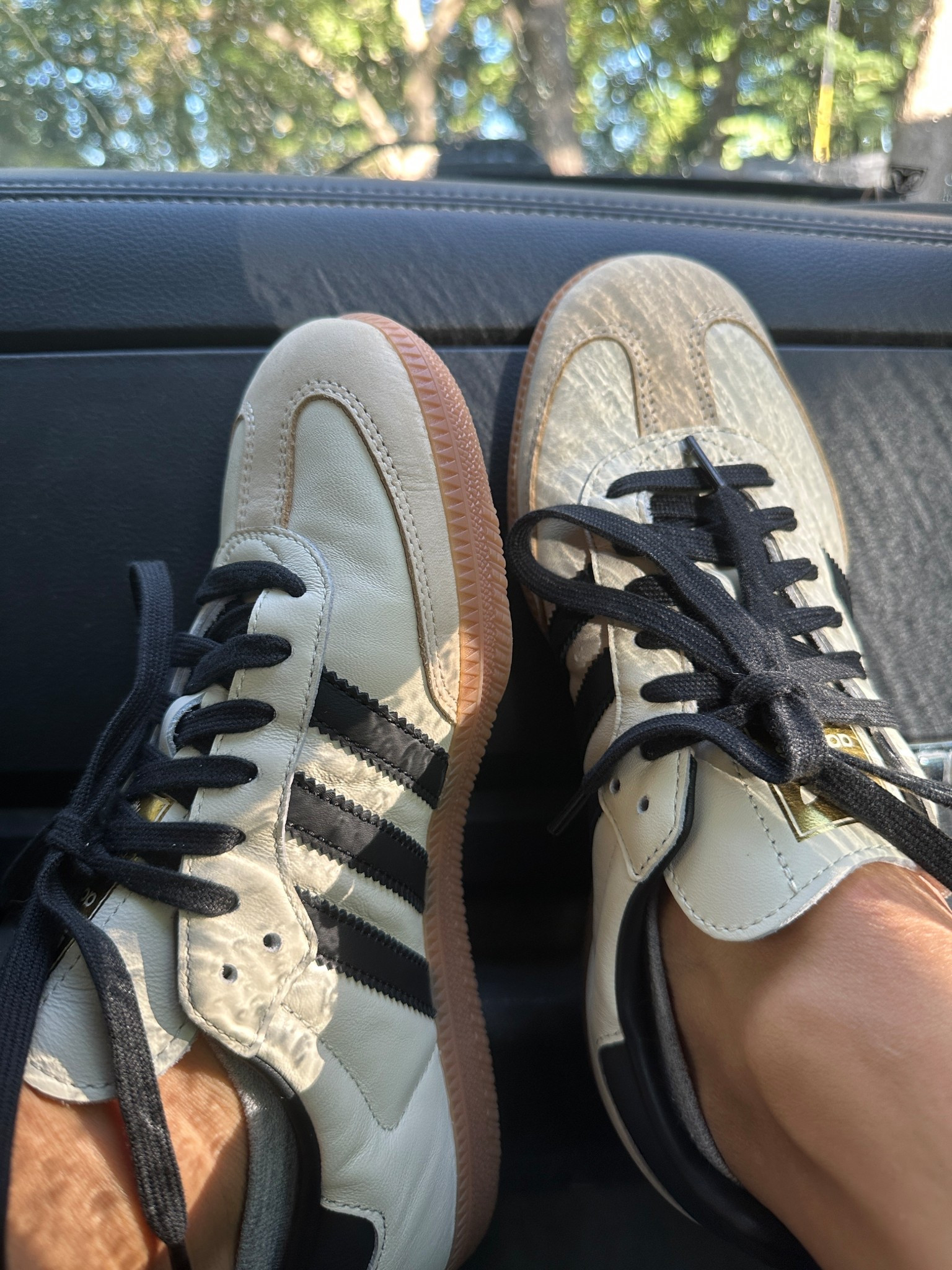 A moment for my new sambas. Mildly obsessed. #adidas #sambas

#LTKStyleTip #LTKShoeCrush