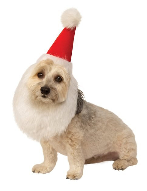 Rubie's Costume Company Santa Beard Hat Dog Costume | Chewy.com