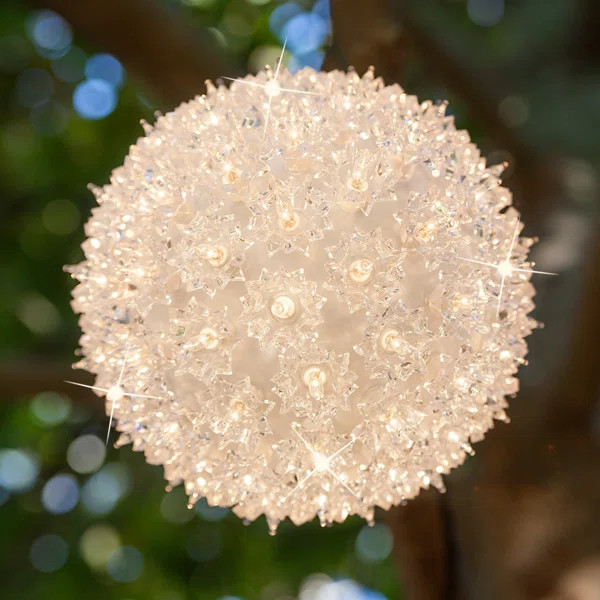 Twinkle Starlight Sphere Holiday Lighted Display | Wayfair Professional