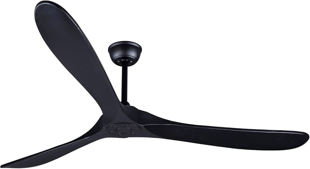 Bigzone 70" Black Ceiling Fan Without Light, Energy Efficient DC Motor, 3 Solid Wood Blades,Outdo... | Amazon (US)