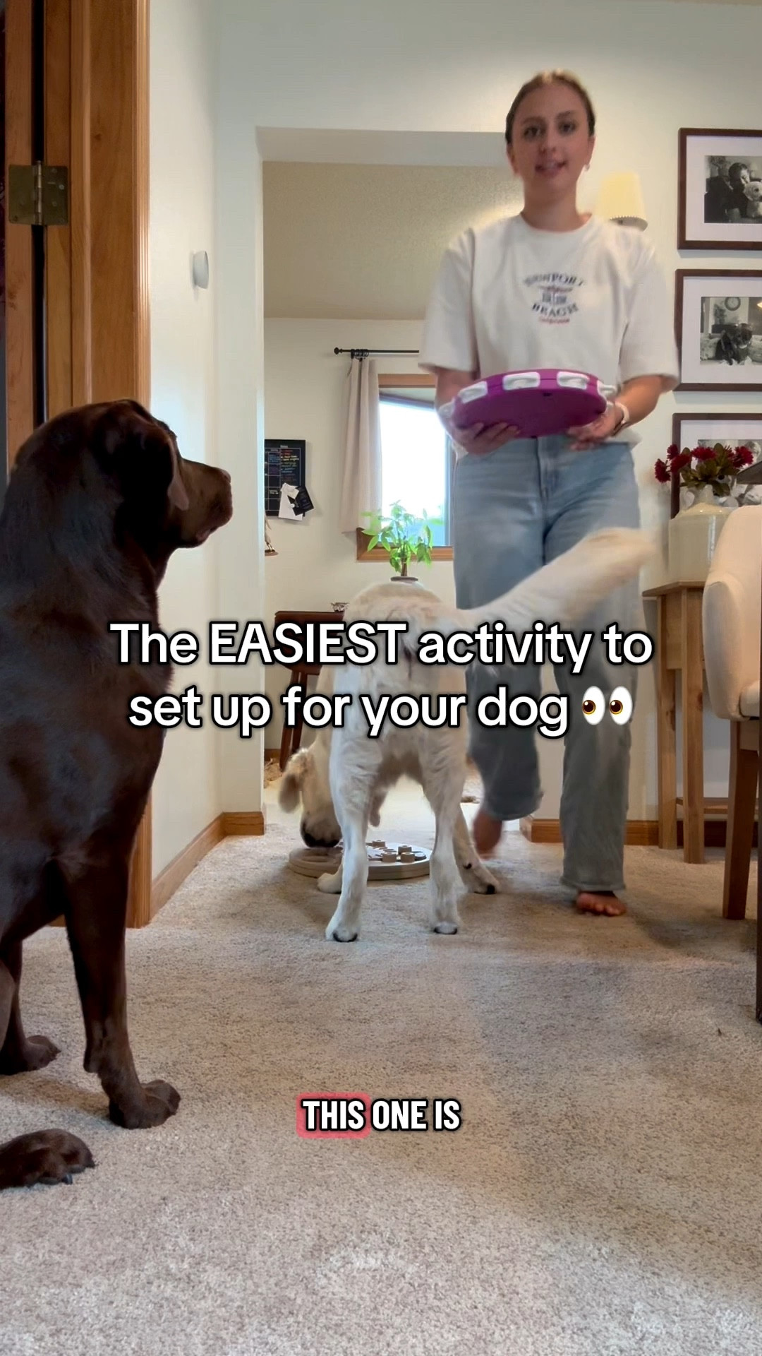 Be honest... would your dog figure these out? 👀🐶

#dogpuzzle #dogenrichment #dogactivity #dogmomhack

#LTKPets