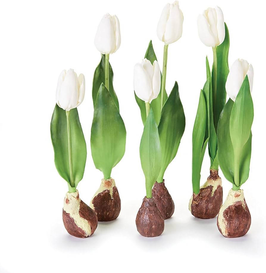 Standing Tulips with Bulbs , Set of 6 | Amazon (US)