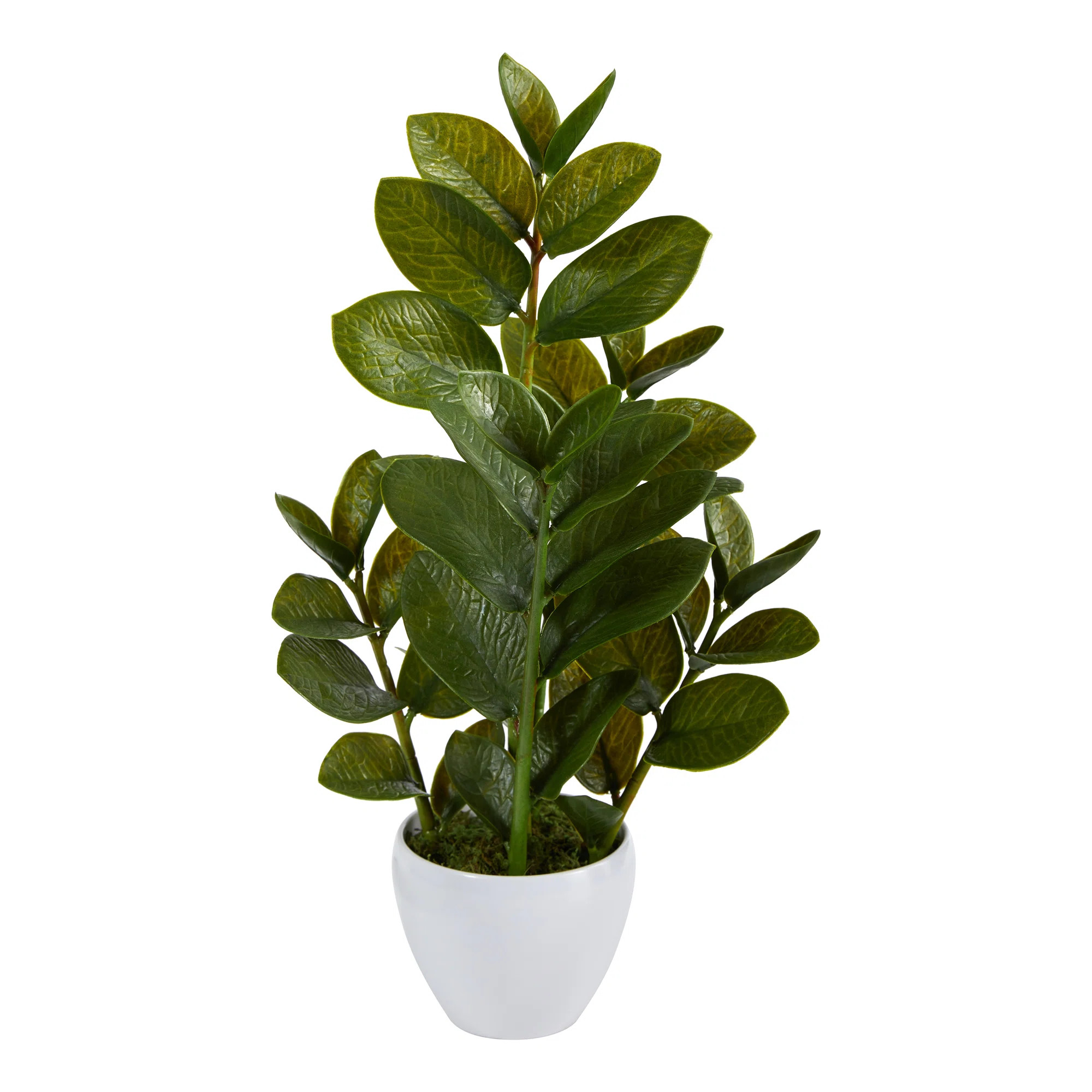 22'' Faux Zamioculcas Plant in Planter | Wayfair North America
