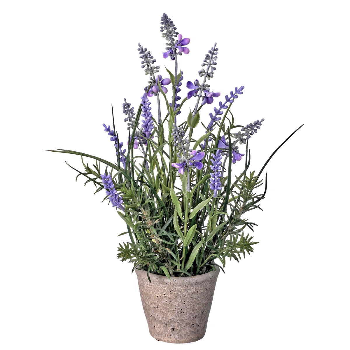 Lavender Arrangement in Pot | Wayfair North America