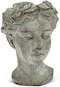 Abbott Collection Goddess Head Planter – Extra Small Cement Indoor and Outdoor Planter Pot – ... | Amazon (US)