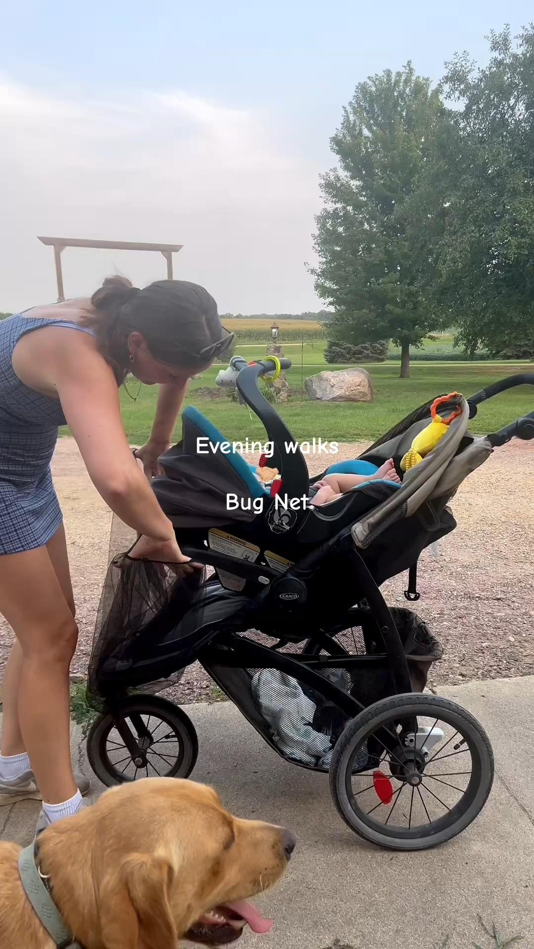 This baby bug net easily stretches over the stroller, car seat or bouncer so baby can enjoy the outdoors with you while staying protected from pesky mosquitoes + bugs!

#BabyEssentials #StrollerAccessories #BabyMustHaves #MomFinds #SummerBaby

#LTKmomlife #LTKKids #LTKBaby