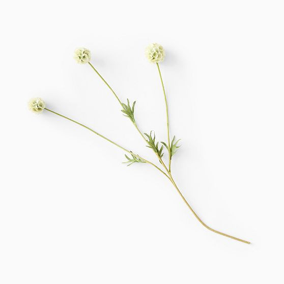 Faux Scabiosa Stem, 22"", Green | West Elm (US)