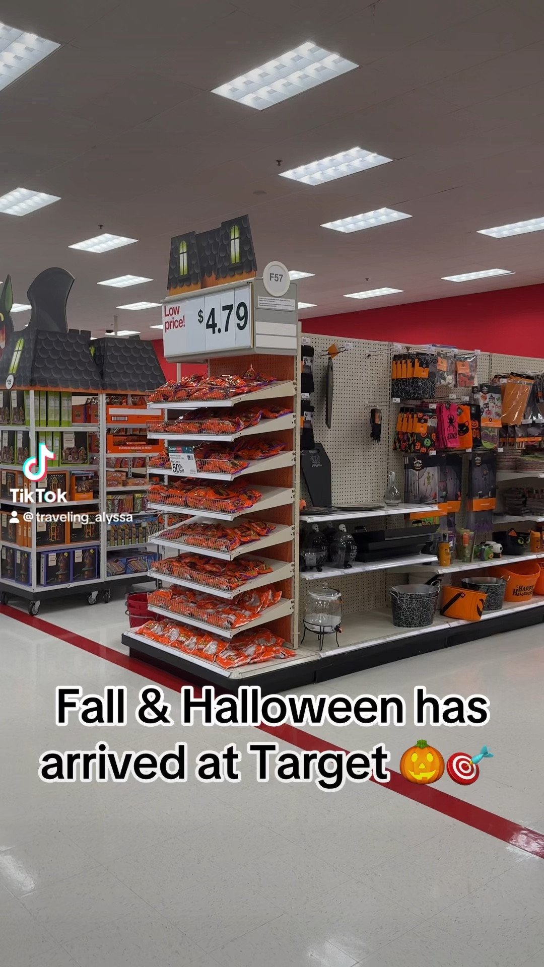 Fall & Halloween Target Finds 



#LTKSeasonal