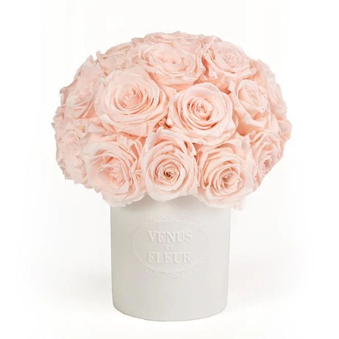 Porcelain Collection - Fleura Vase with Eternity Roses | Venus ET Fleur