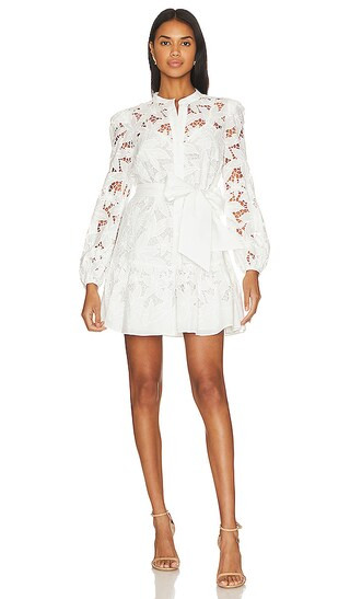 Nymphaea Floralis Embroidered Lace Mini Dress in White | Revolve Clothing (Global)