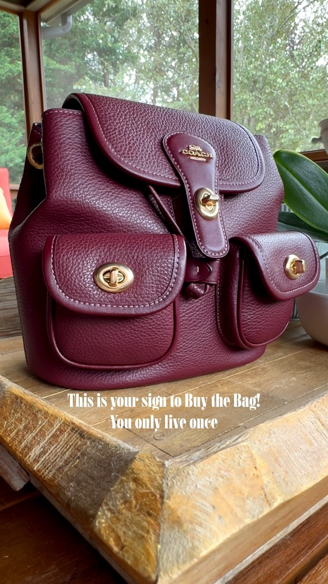 YOLO 

COACH bags, leather bags, Mini backpacks, burgundy bags, trending bags #LTKitbag