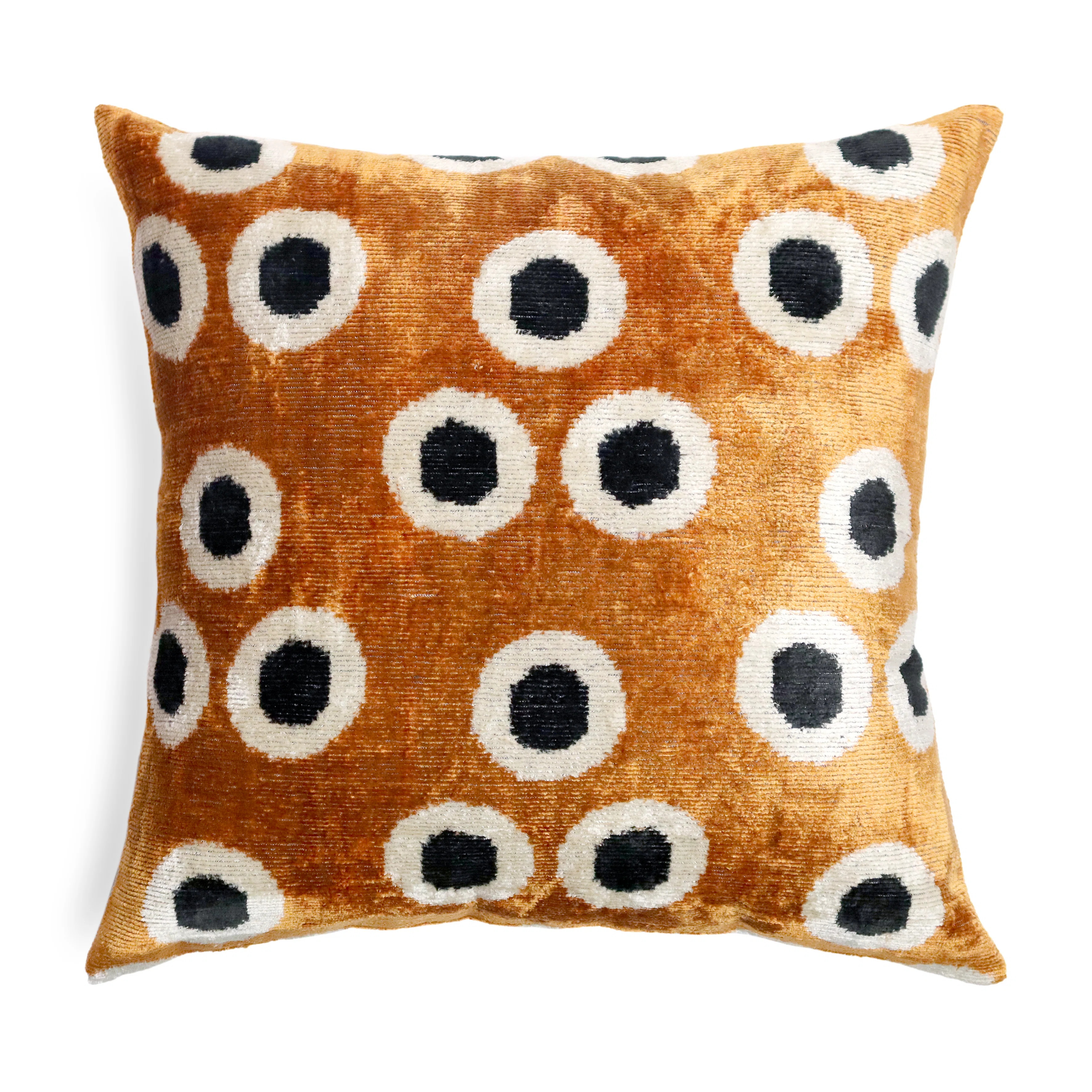Silk/Velvet Throw Square Pillow Cover & Insert | Wayfair North America