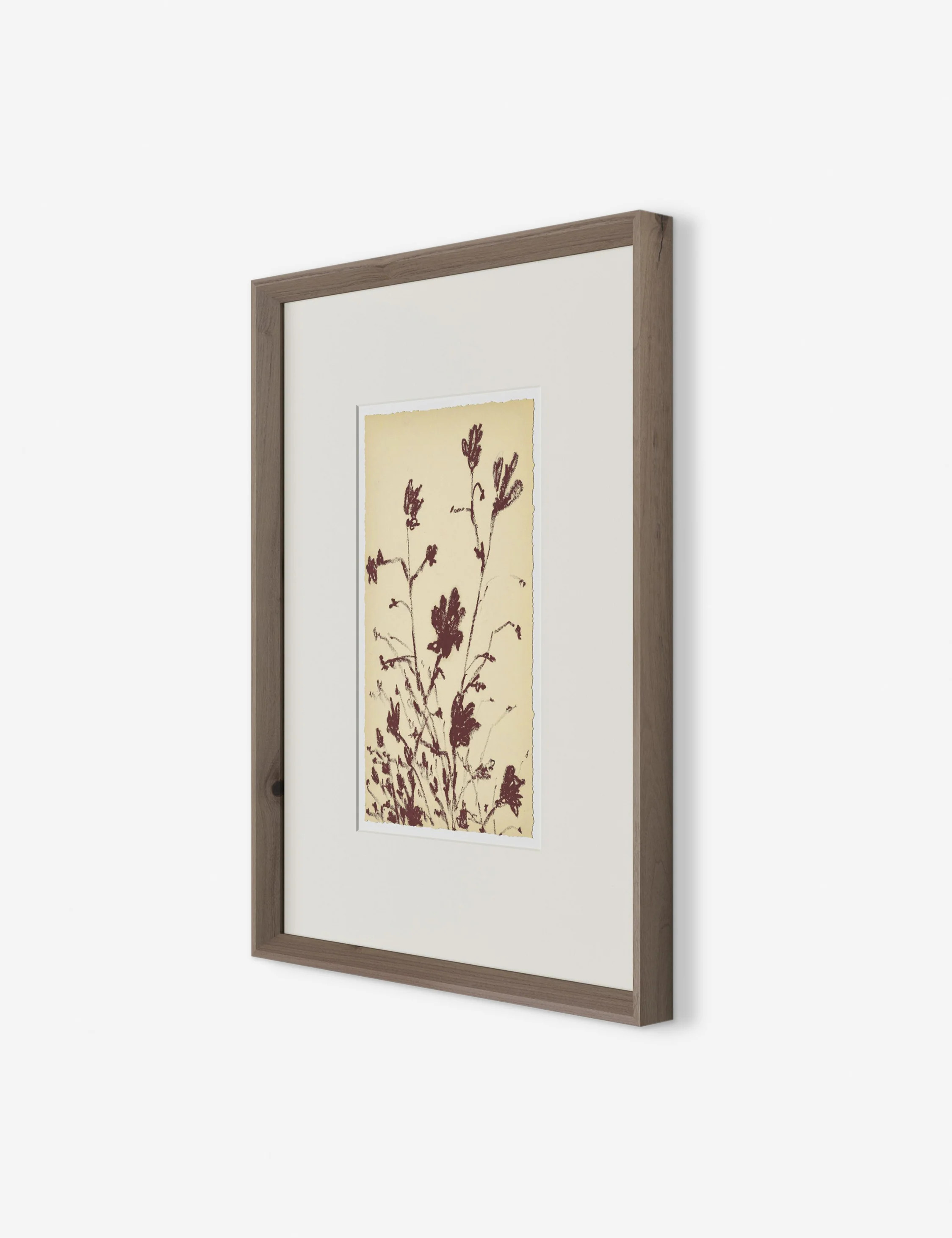 Meadow Rue No. 3 Wall Art by Shaina Page | Lulu and Georgia 