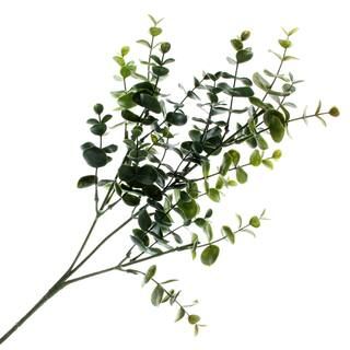 Eucalyptus Stem by Ashland® | Michaels Stores