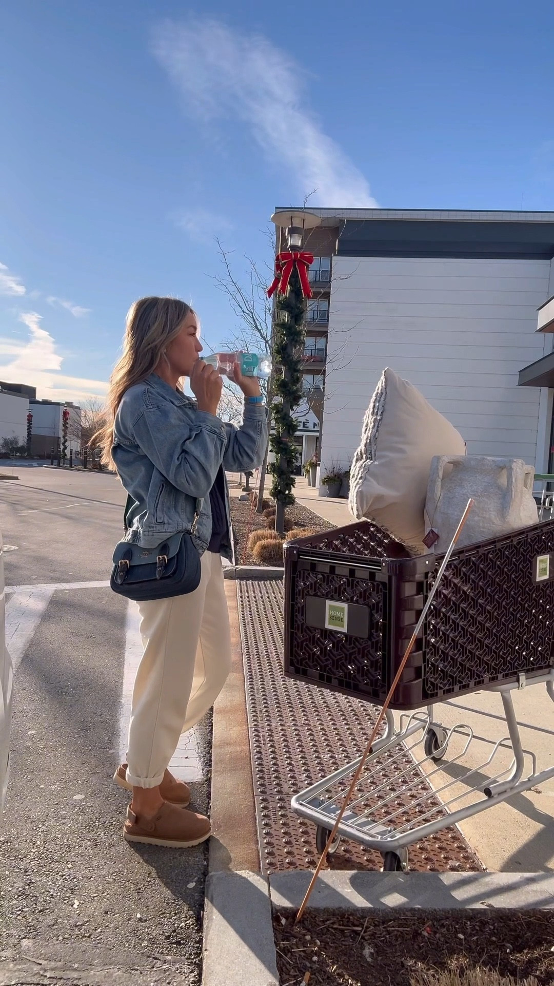 Another day, another cart — the designer life 🙂

#LTKSaleAlert #LTKdayinmylife #LTKHoliday