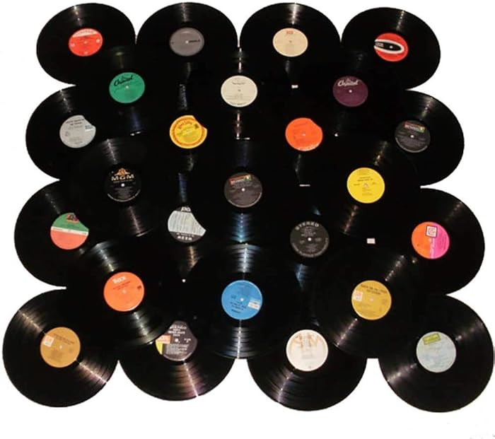 VinylShopUS - Lot of 12" Vinyl Records for Crafts & Decoration Artwork for Party Decor Artist Stu... | Amazon (US)
