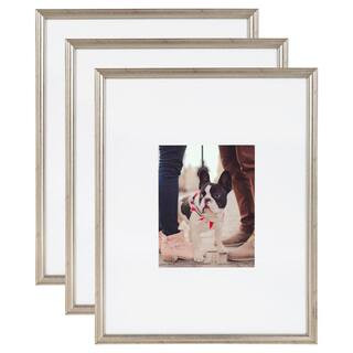 Adlynn 16 in. x 20 in. matted to 8 in. x10 in. Silver Picture Frames (Set of 3) | The Home Depot