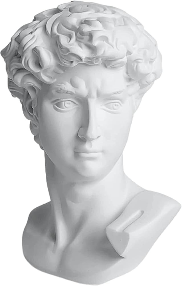 11.8 inch Tall David Bust Greek Roman Statues Sculptures for Home Decor Statue of David Large Whi... | Amazon (US)