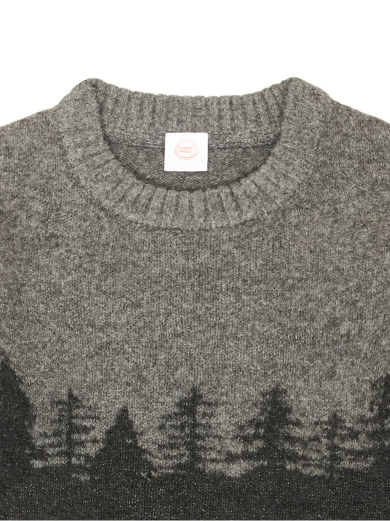 Wonder Nation Boys Long Sleeve Forest Intarsia Sweater, Sizes 4-18 | Walmart (US)