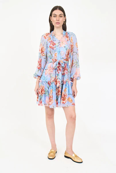 Jenny Dress- Blue Garden | Christy Lynn