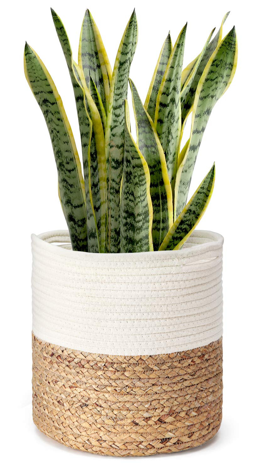 Mkono Cotton Rope Plant Basket with Water Hyacinth Modern Indoor Planter Up to 10 Inch Pot Woven ... | Amazon (US)